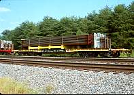 qttx131254.jpg