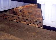 schnabel11.jpg