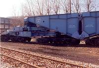 schnabel35.jpg