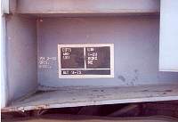 schnabel39.jpg
